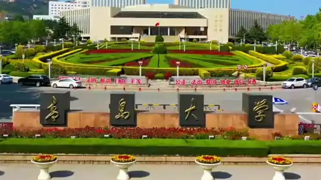 青岛大学辟谣“新校徽像旭日旗”热搜配图